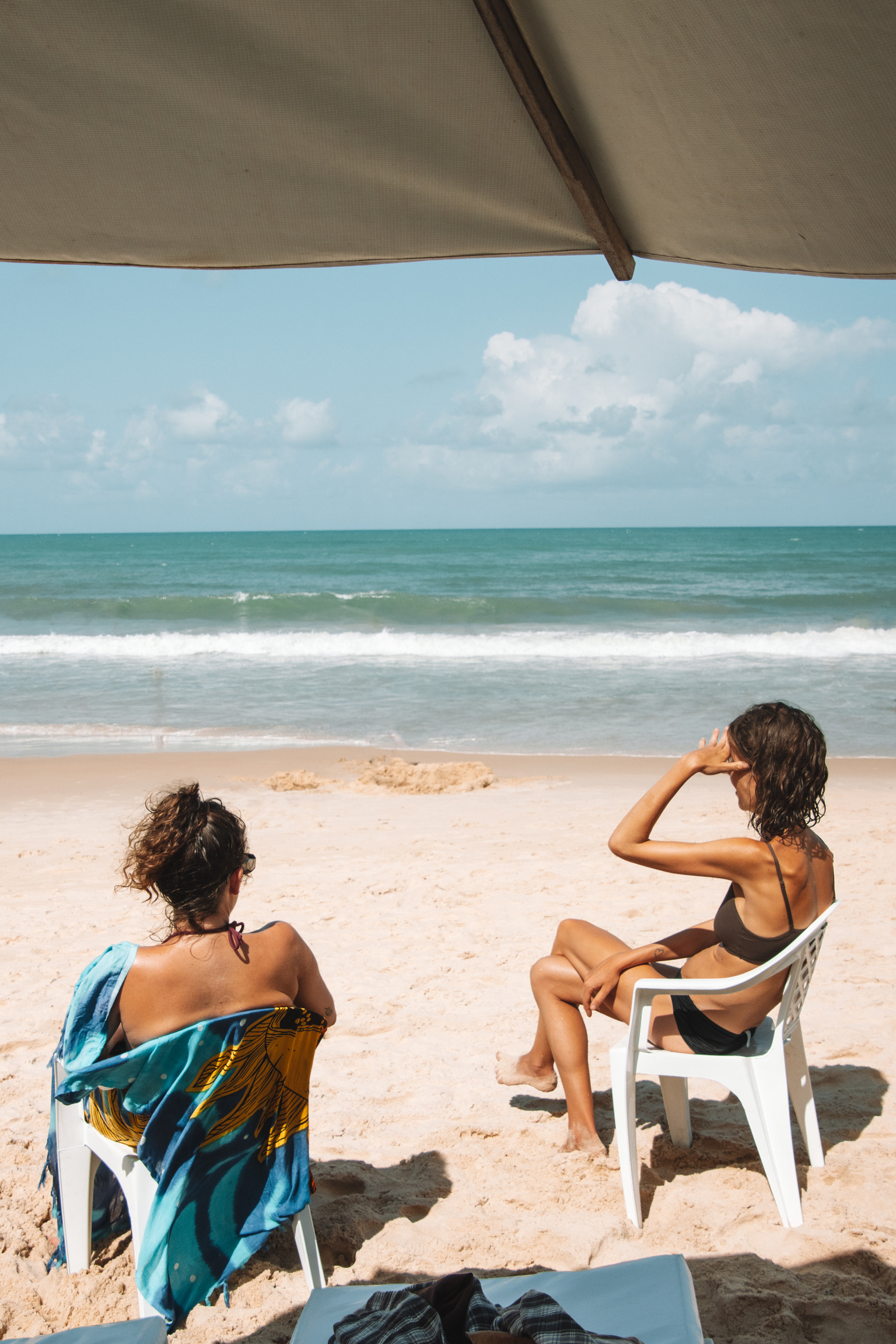 Everything you Need to Know About Pipa in Brazil