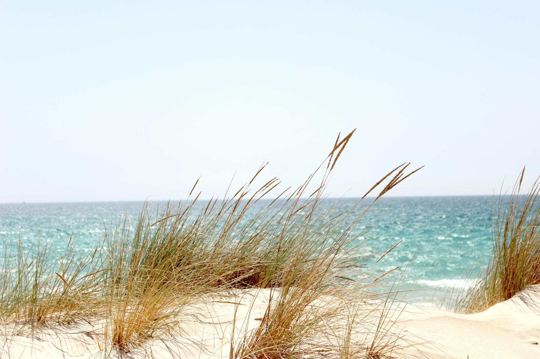 Tarifa Weather and Wind Guide for Digital Nomads