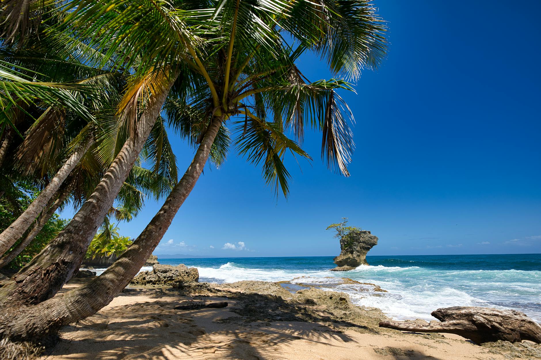 Costa Rica Digital Nomad Guide