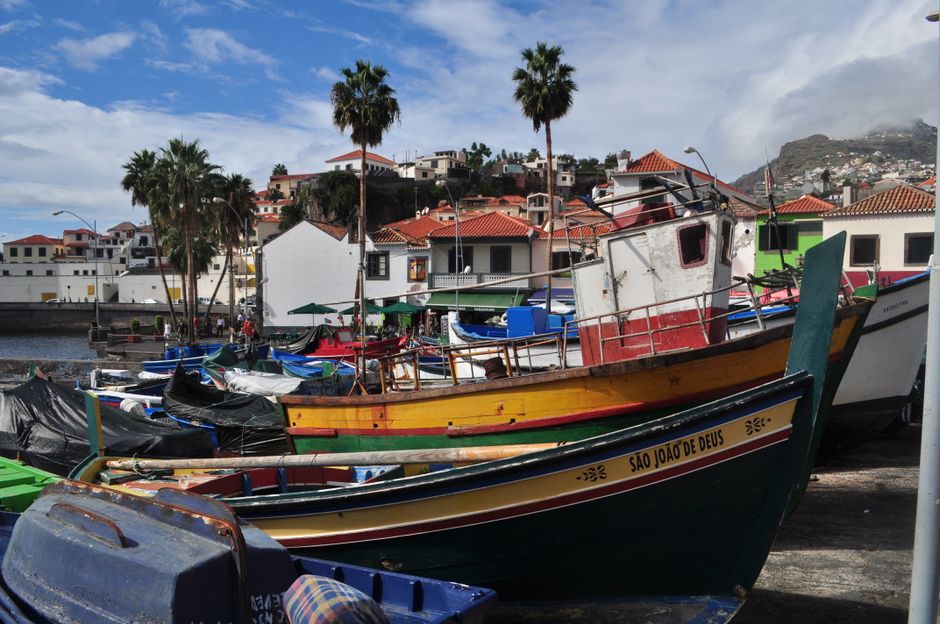 Camara de lobos madeira